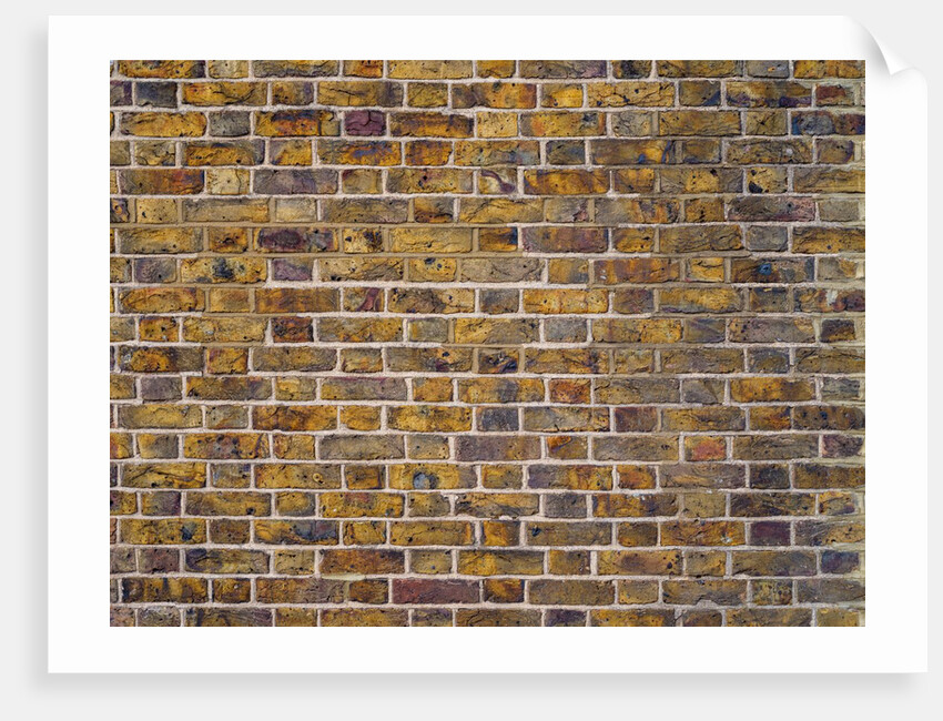 Brick Wall by Assaf Frank